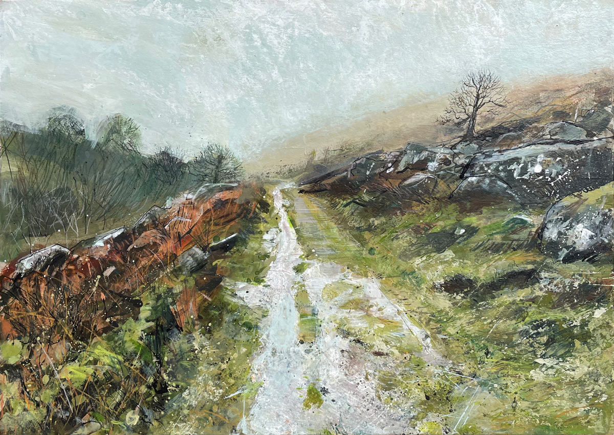 Track Above Meldon Reservoir in the Mist