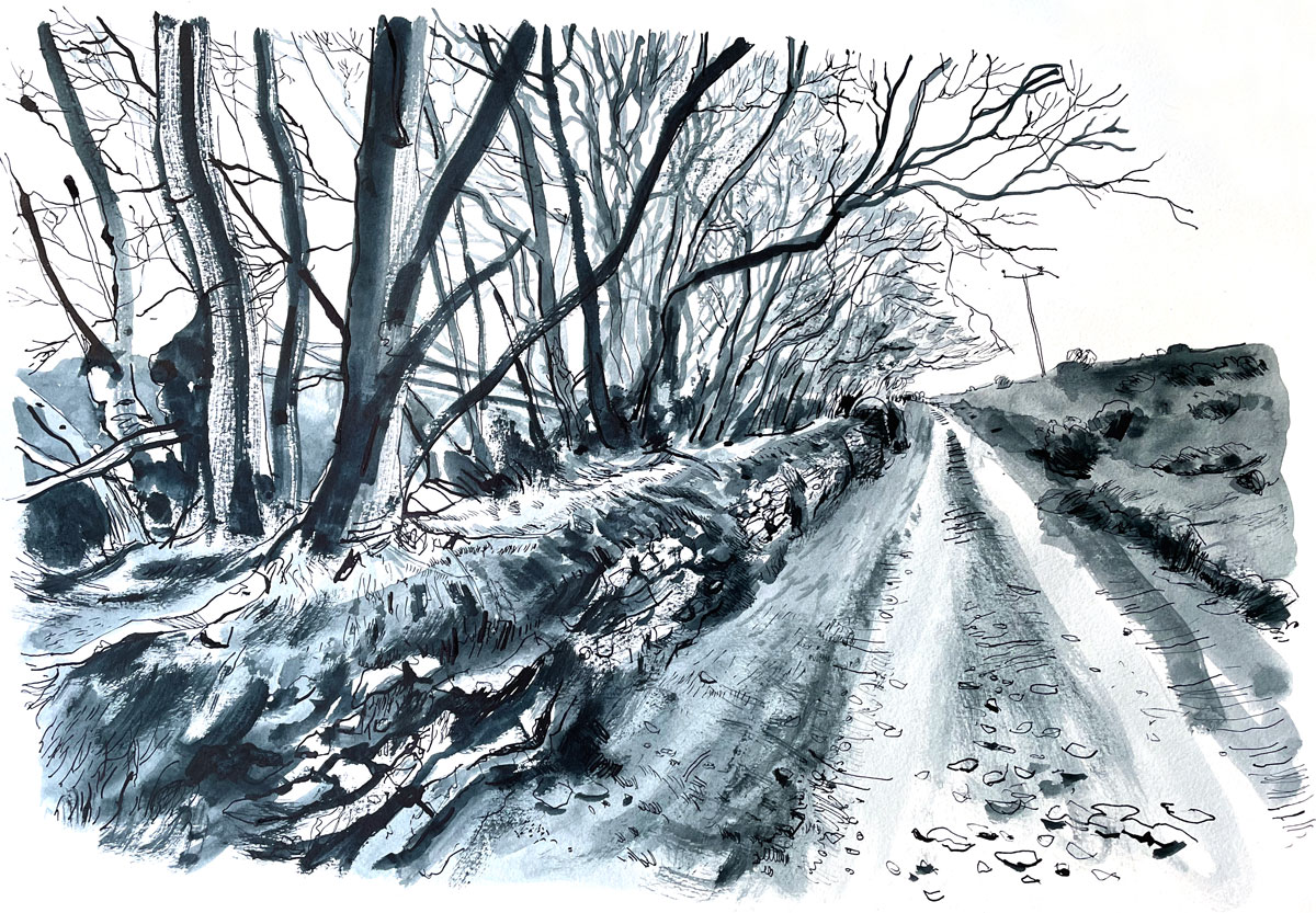 Track beside Bernard's Acre