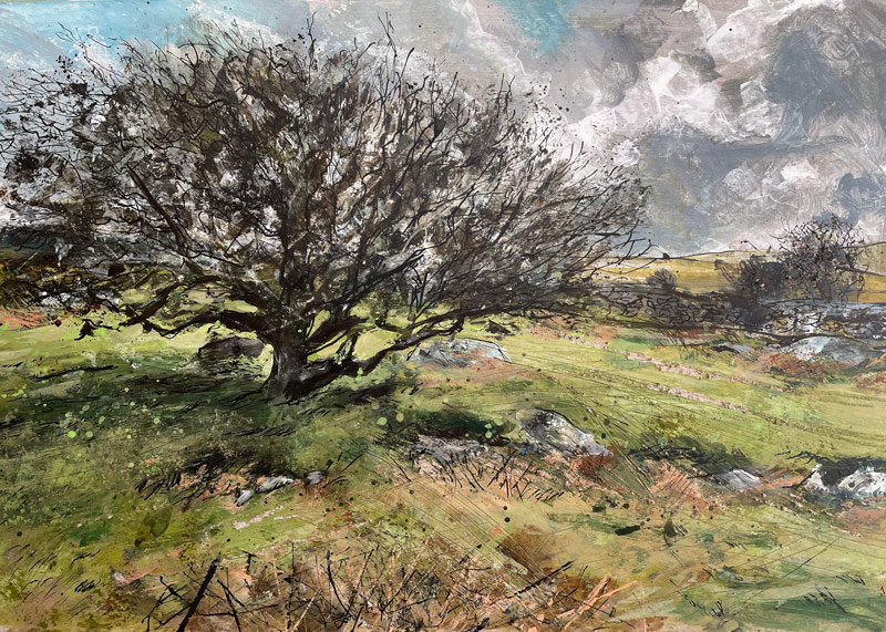 Dartmoor Paintings