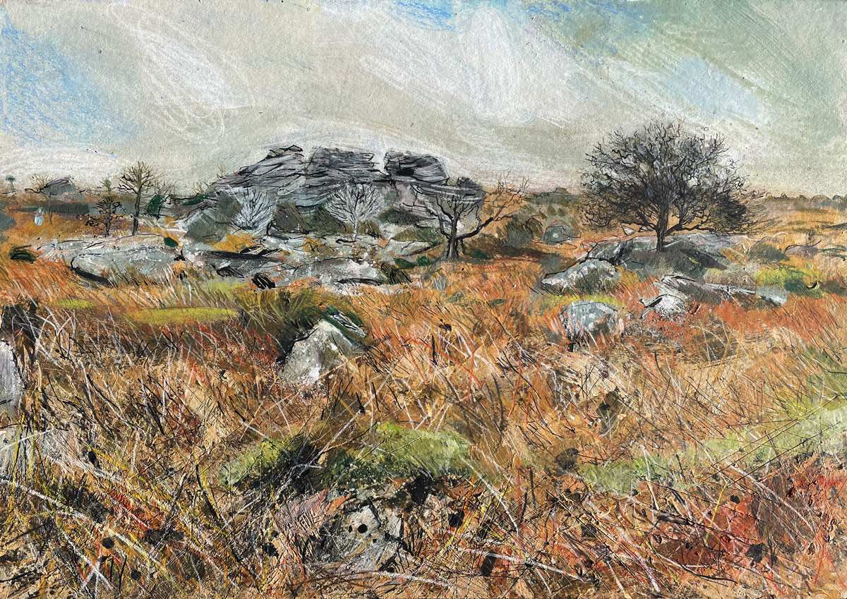 Near Ilsington, Dartmoor